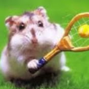 Profile Picture of Lisa Pierre (@lisapierre3857) on Youtube