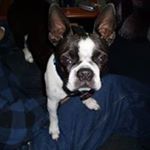 Profile Picture of Richard Norma Chisholm (@njaks1) on Instagram