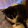 Profile Picture of erica.schmitt (@@erica.schmitt) on Tiktok