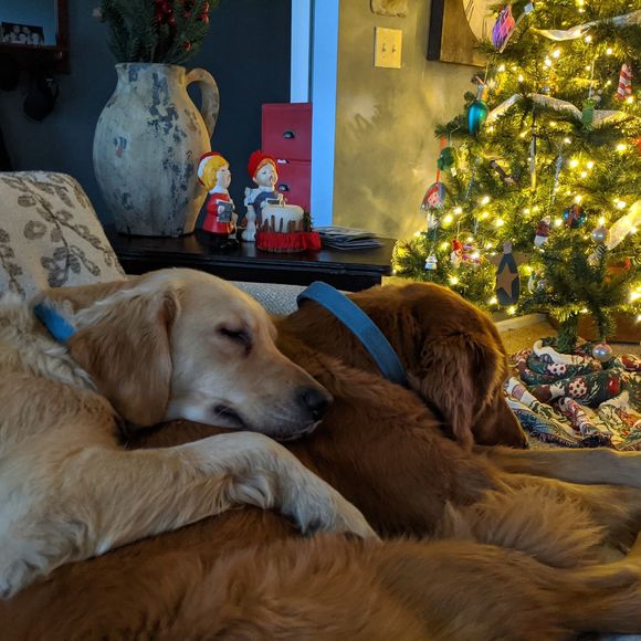 Profile Picture of Katy Jacomet (@katyj8314) on Poshmark