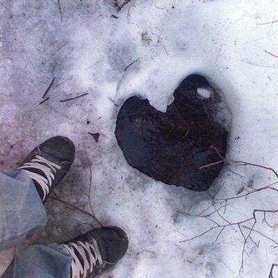 Profile Picture of Daniel Furlong (@DFDan) on Twitter