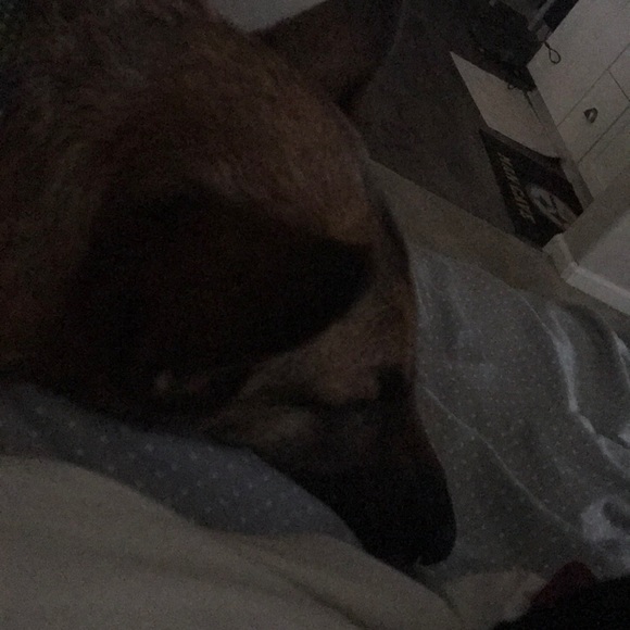 Katie Lee - Poshmark Profile Picture of Katie Lee (@ktsmiles22) on Poshmark