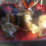 Profile Picture of Cody Dozier (@cody.dozier) on Instagram