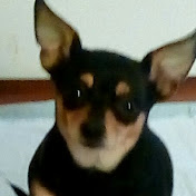 Profile Picture of David Hammer (@davidhammer4456) on Youtube