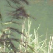 Franz Erhard - Facebook Profile Picture of Franz Erhard (@Franz-Erhard) on Facebook