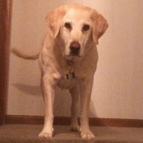 Profile Picture of Cary Munves (@carymunves) on Pinterest