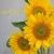 Profile Picture of Wilhelmina Clifford (@wcclifford) on Pinterest