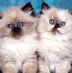 Profile Picture of Cindy Zastrow (@cindy.zastrow.37) on Facebook