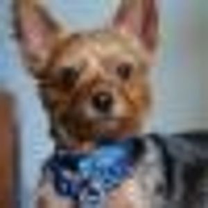 Profile Picture of Julie Field (@130978396) on Myspace