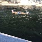 Profile Picture of Luis Miguel Valiente Martín (@luismiguelvalientemartin) on Instagram