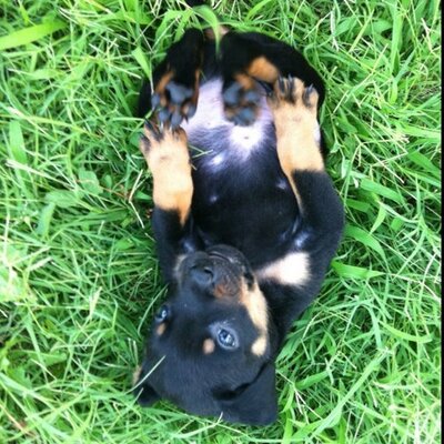 Profile Picture of Andy Spellmeyer (@Aspellmeyer) on Twitter