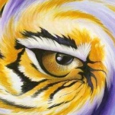 Profile Picture of Deborah Johnston (@tigerfamily2001) on Twitter
