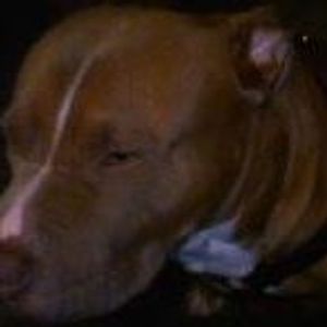 Profile Picture of Nathan Oakley (@nathan.oakley.94) on Myspace