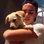 Profile Picture of Fred Guimaraes Hackbart (@fred_hackbarttt) on Instagram
