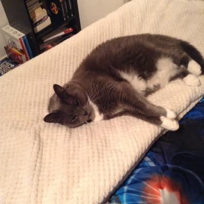 Profile Picture of Lucas McCann (@Cann4Mc) on Twitter