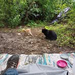 Profile Picture of Keith Brough (@keith.brough.862364) on Facebook