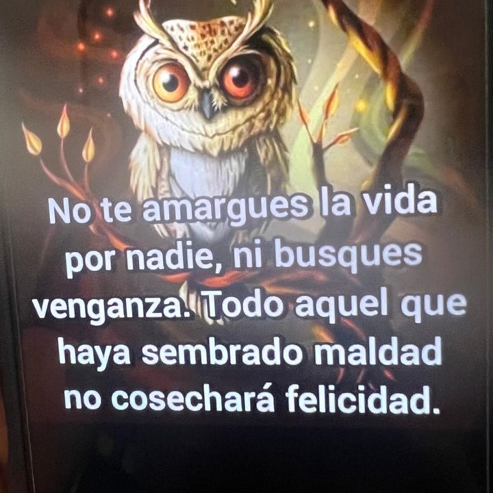 Profile Picture of Snyder (@peteralva3) on Tiktok