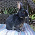 Profile Picture of Shaddi Zane Boyd (@shaddizaneboyd) on Instagram