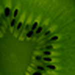Profile Picture of Robert Winter (@r.winter) on Flickr