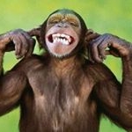 Profile Picture of Jonathan Rioux (@jonathan.rioux77) on Instagram