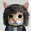 Profile Picture of Matthew Knapp (@@tacocat523) on Tiktok