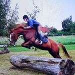 Profile Picture of Miriam Wagner (@miriam.wagner.1042) on Instagram