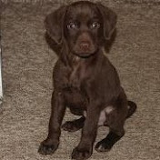 Profile Picture of Martin Spellman (@martinspellman8012) on Youtube