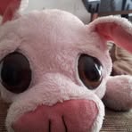 Profile Picture of MeaganLee Buckwalter (@meaganlee.buckwalter) on Facebook