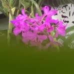 Profile Picture of Kevin Thornton (@Kevin-Thornton) on Facebook