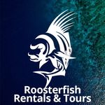 Profile Picture of RoosterFish Rentals & Tours (@roosterfish_rentals) on Instagram