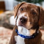 Profile Picture of buddy_truman_edge (@boot_edge_edge) on Instagram