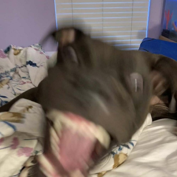 Profile Picture of Khloe Mascetta (@kmascetta19) on Poshmark