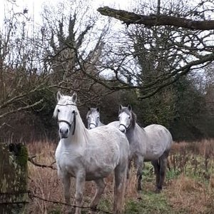 Mike Deely - Twitter Profile Picture of Mike Deely (@MikeDeely3) on Twitter