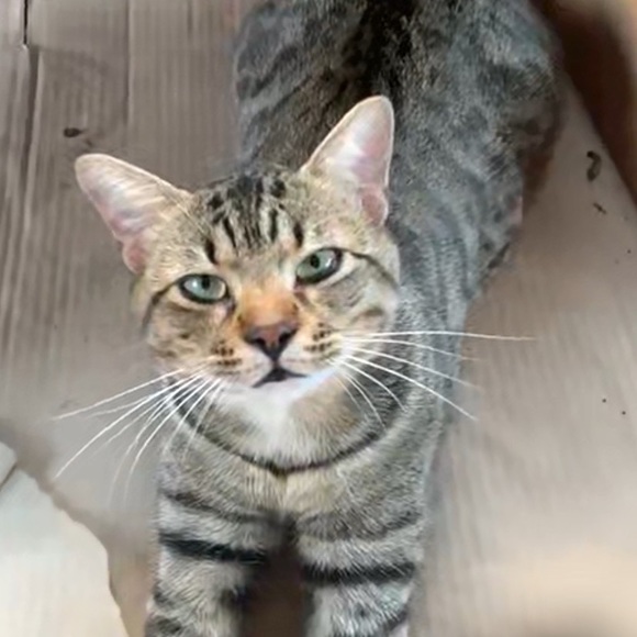 Profile Picture of Radish Shlamp (@radishshlamp) on Poshmark