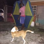 Profile Picture of Keron Charles (@keron.charles.332) on Instagram