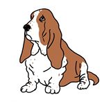 Profile Picture of Monica Martino (@dailydogdrawings) on Instagram