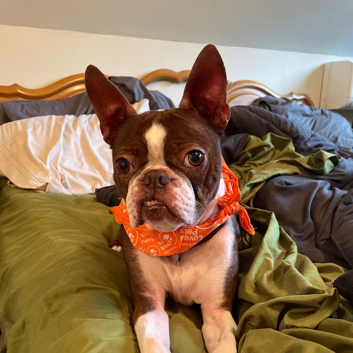 Profile Picture of Merylg (@merylgordon0) on Tiktok