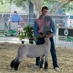 Profile Picture of Matthew Bowman (@Matthew-Bowman) on Facebook