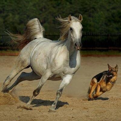 Profile Picture of Julio Cesar Coria (@juliocoria14) on Twitter