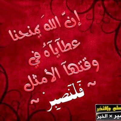 Profile Picture of Mohamed Omran (@mohamedomran255) on Twitter