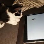 Profile Picture of Tommy Shumpert (@tommy.shumpert.58) on Facebook