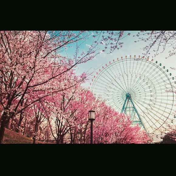 Profile Picture of Megan Baver (@m_elise_b) on Poshmark