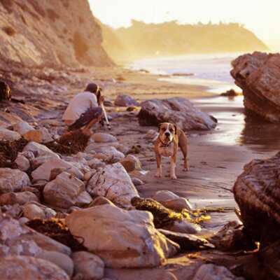 Profile Picture of Diego Hugo (@diegohugo) on Twitter