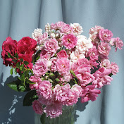 GDDFT DUYKA - Youtube Profile Picture of GDDFT DUYKA (@gddftduyka712) on Youtube