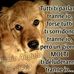 Profile Picture of Matteo Di Niro (@gerardo.bevilacqua.14) on Facebook