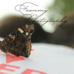 Profile Picture of franklin pichardo (@franmyphotography) on Instagram