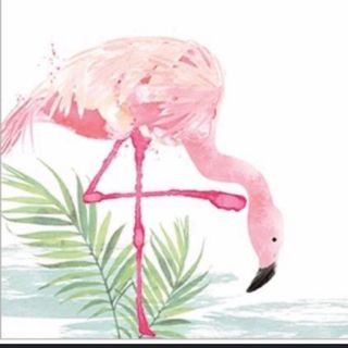 Profile Picture of Catherine Foxall (@catherine_flamingopaperie) on Instagram