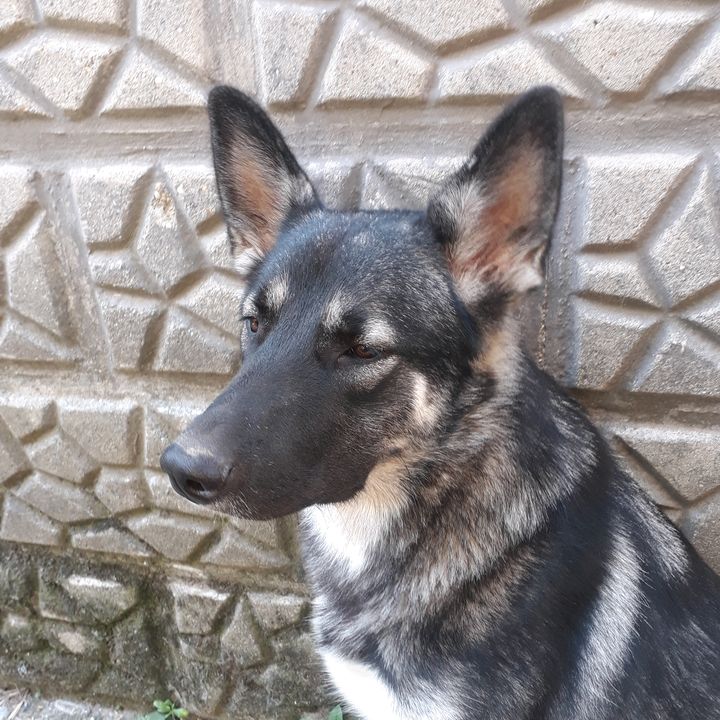 Profile Picture of david kulcsar (@@davidkulcsar6) on Tiktok