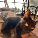 Profile Picture of Gavin Bunch (@gavin.bunch.2025) on Facebook