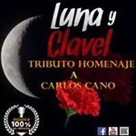 Profile Picture of Luna y clavel Homenaje a Carlo (@lunayclavelhomenajeacarloscano) on Instagram